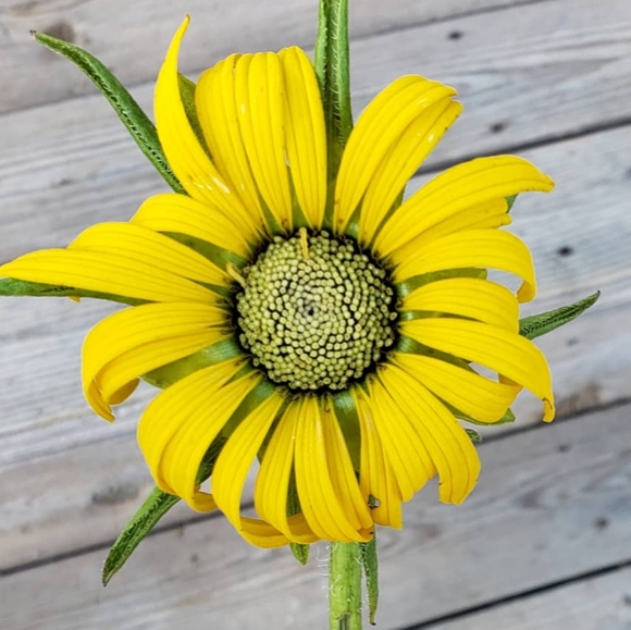 Meet your Posher, Jess - Picture 2 of 6